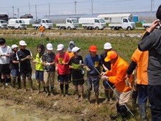 田植え体験２