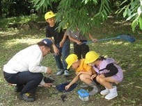 ビオトープ見学３