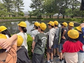 鏡池