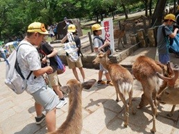 奈良公園
