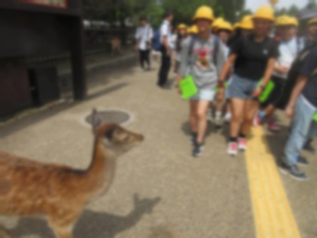 奈良公園